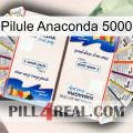 Anaconda 5000 Pill kamagra1